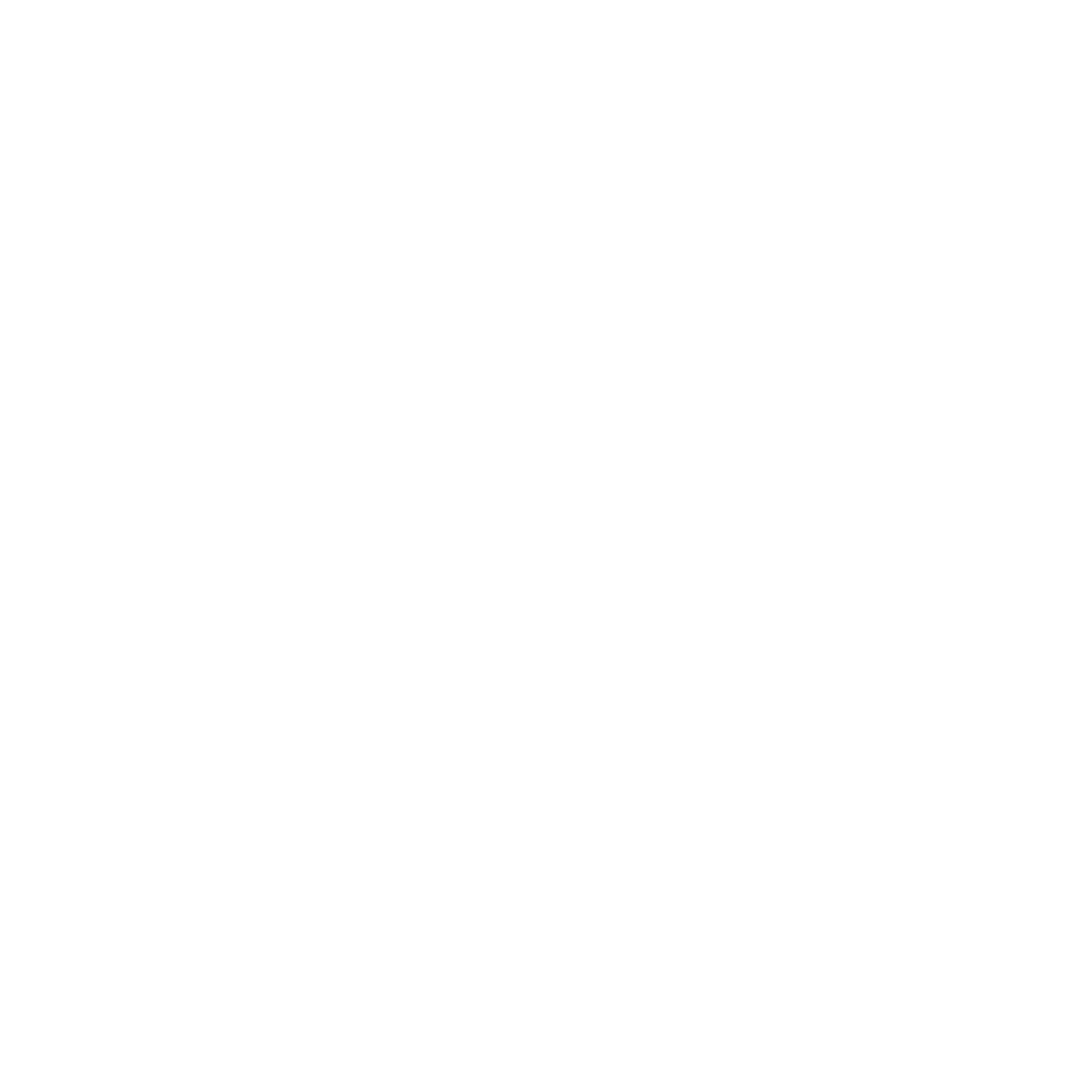 Ultimate Car Window Shades