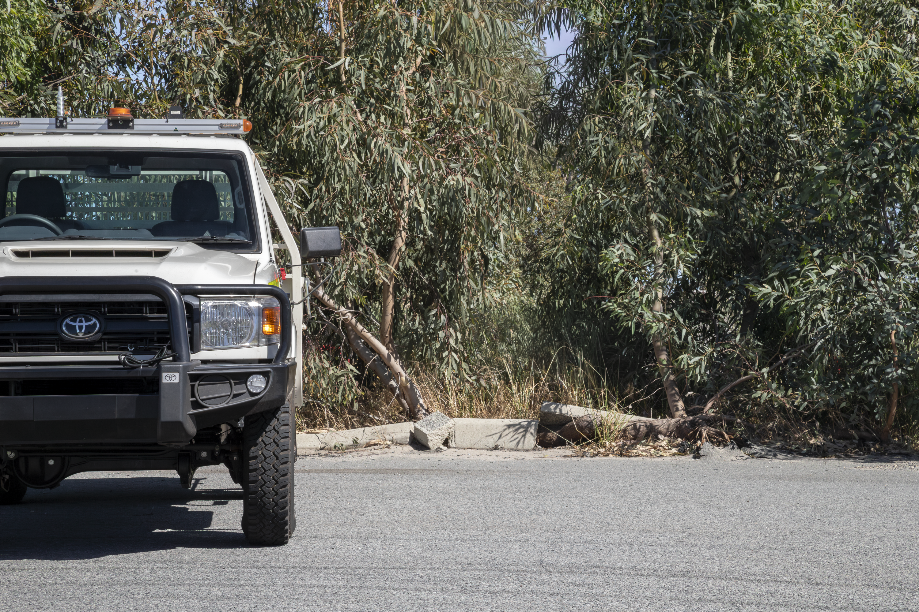 Half front view of a mine spec Toyota 79 Series parked in front of green leafy backdrop