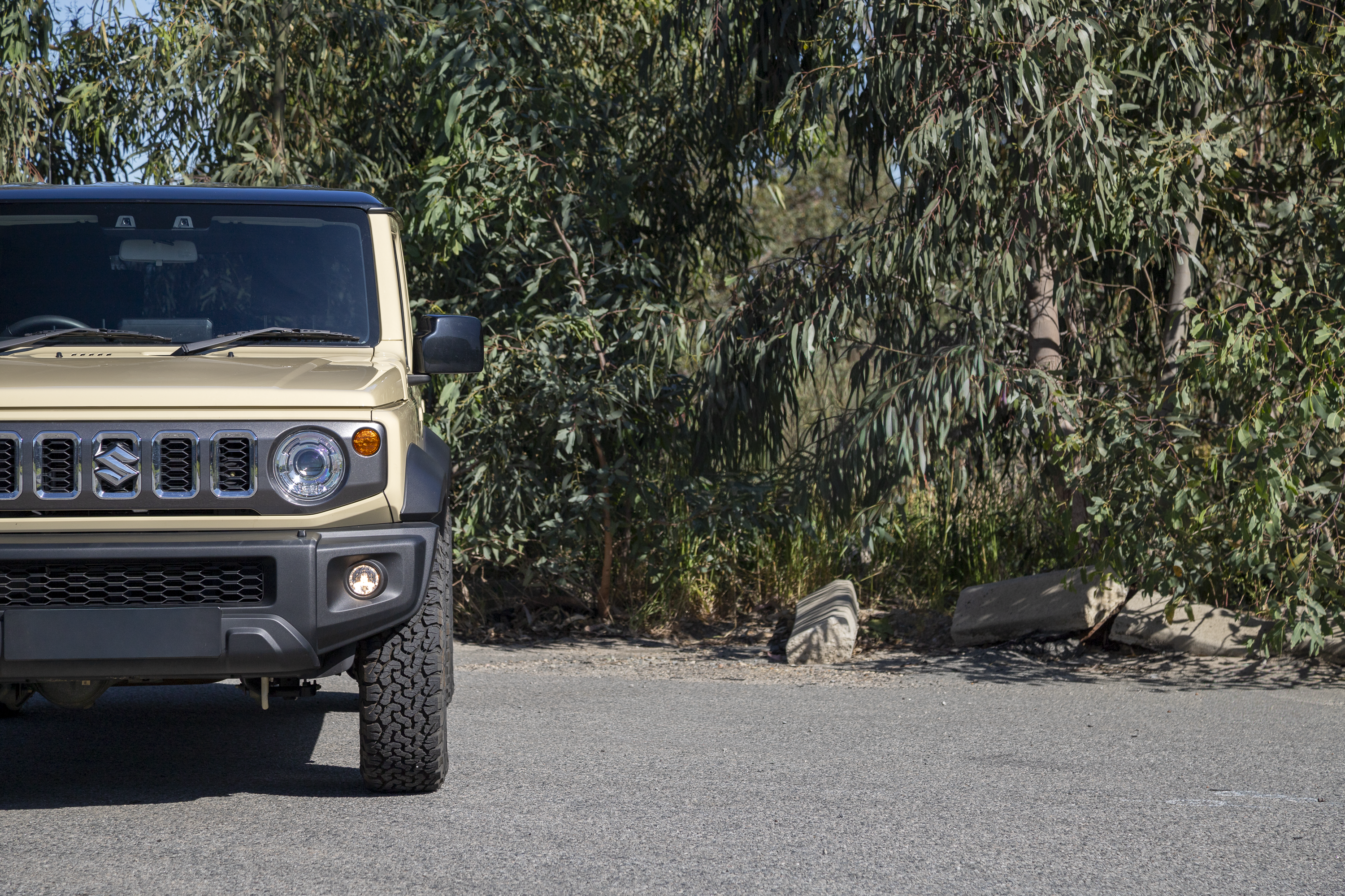 Chiffon Ivory/Sandy Suzuki Jimny XL JC74  parked in front of green leafy backdrop